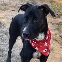 Thumbnail photo of Ezra #4