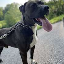 Thumbnail photo of Ducky #1