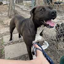 Thumbnail photo of Ducky #2