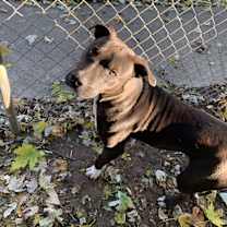 Thumbnail photo of Ducky #3