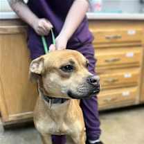 Thumbnail photo of Sergie #1