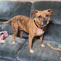 Thumbnail photo of Dakota #1