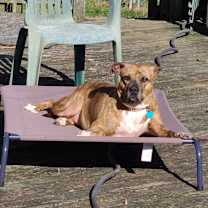 Thumbnail photo of Dakota #2