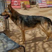 Thumbnail photo of JR #1