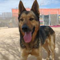 Thumbnail photo of JR #2