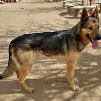 Thumbnail photo of JR #3