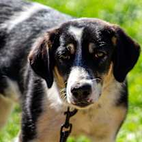 Thumbnail photo of Zula #1