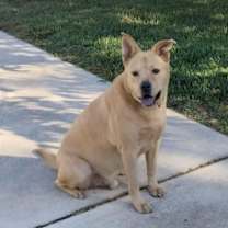 Thumbnail photo of PONCHITO #2