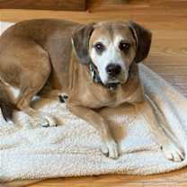 Thumbnail photo of Twiggy #2