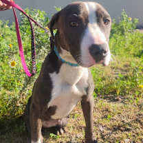 Thumbnail photo of Alaska #1