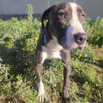 Thumbnail photo of Alaska #3