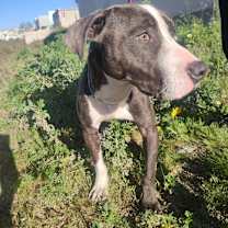 Thumbnail photo of Alaska #4