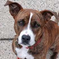 Thumbnail photo of Sally #1