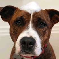 Thumbnail photo of Sally #2
