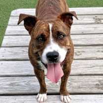 Thumbnail photo of Sally #3