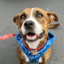 Thumbnail photo of Sally #4