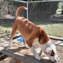 Thumbnail photo of London #2