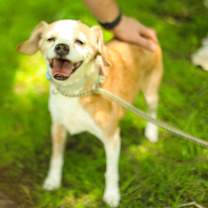 Thumbnail photo of Benny #1