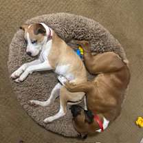 Thumbnail photo of Bingo #2