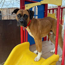 Thumbnail photo of Bingo #3