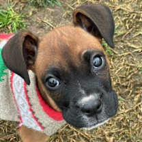 Thumbnail photo of Bingo #4