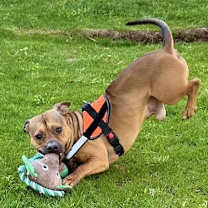 Thumbnail photo of Lucien #1
