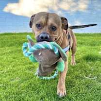 Thumbnail photo of Lucien #2