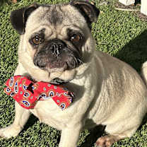 Thumbnail photo of Lilly #2