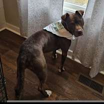 Thumbnail photo of Lucky Mars #2