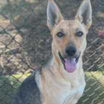 Thumbnail photo of Heidi #1