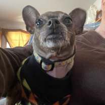 Thumbnail photo of BLANCHE #1