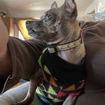 Thumbnail photo of BLANCHE #2