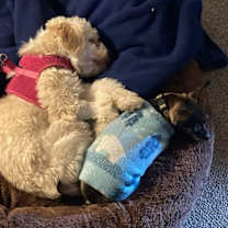 Thumbnail photo of BLANCHE #3
