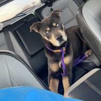 Thumbnail photo of Duncan #1