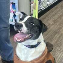 Thumbnail photo of Bubbie #1