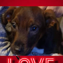 Thumbnail photo of Linda #1