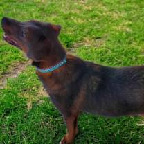 Thumbnail photo of Linda #3
