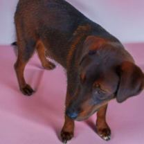 Thumbnail photo of Linda #4