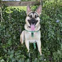 Thumbnail photo of Parker #1