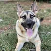 Thumbnail photo of Parker #2