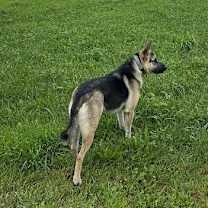 Thumbnail photo of Parker #3