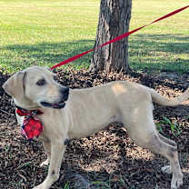 Thumbnail photo of BeBe #1