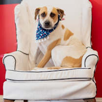 Thumbnail photo of Daisy #1