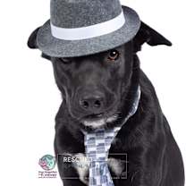 Thumbnail photo of Oliver #1