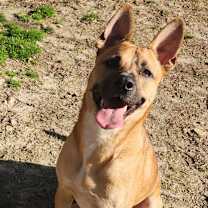 Thumbnail photo of Frito Lamar #1