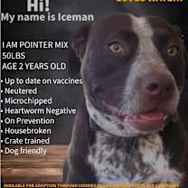 Thumbnail photo of IceMan #2