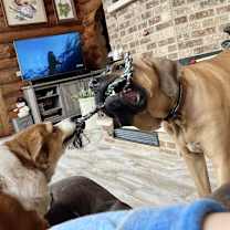 Thumbnail photo of Tonka #2