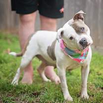 Thumbnail photo of LadyBug #4