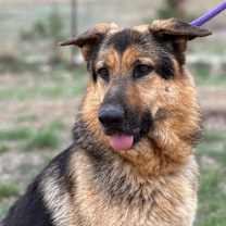 Thumbnail photo of RuRu #4