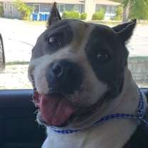 Thumbnail photo of Kody #2